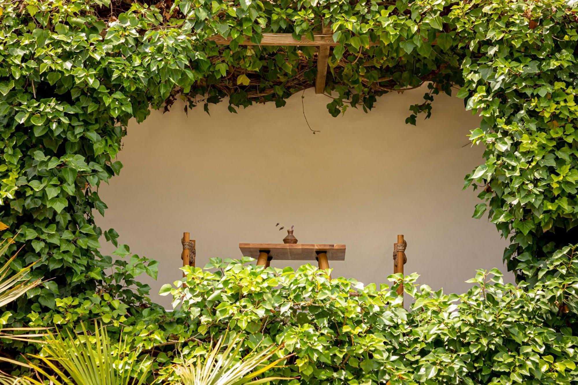Boutique Hotel Jardines De Palerm San José Zewnętrze zdjęcie